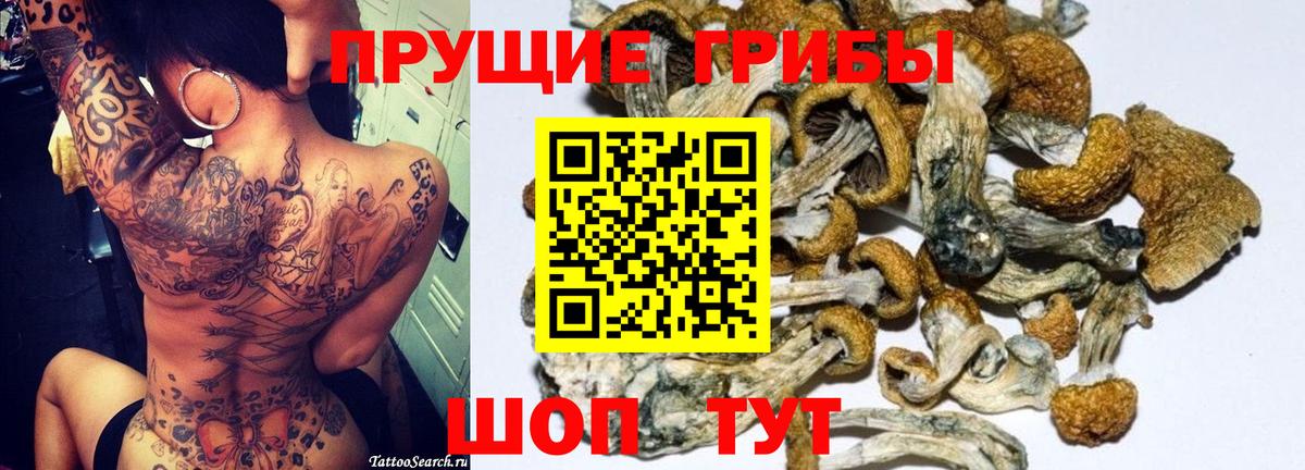 Псилоцибиновые грибы мухоморы  Вход с VPN  что такое   Новый Уренгой 