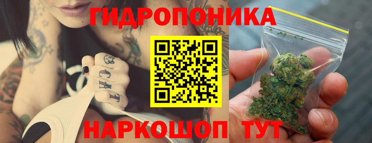 Марихуана OG Kush Новый Уренгой